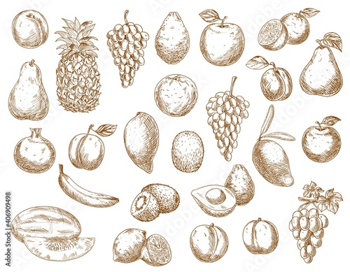 Sketch fruits isolated vector icons pomegranate, avocado and pineapple, peach, banana and avocado farm market or store garden and tropic exotic fruits. Lemon, pear, grape and apple with mango or kiwi