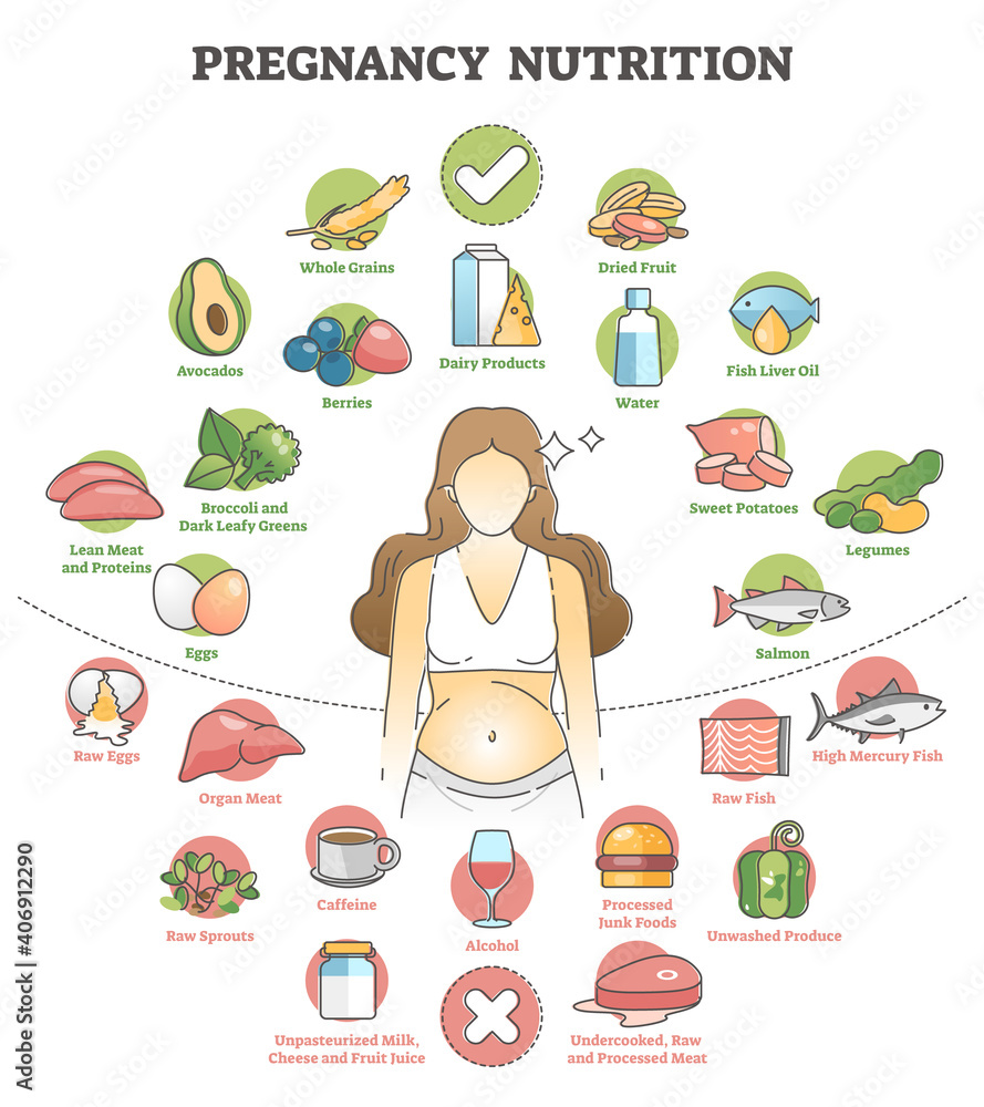 Pregnancy Nutrition With Recommendation Female Food Products Outline Concept Stock Vector