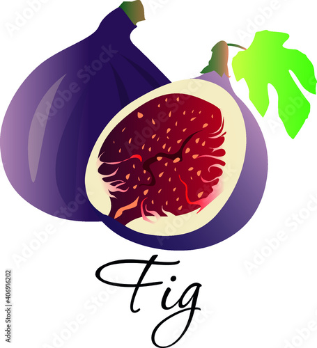 
Fig exotic fruit vector illustration. Whole and cut fig product emblem for juice or jam label, packaging sticker, grocery shop tag, farm store. Isolated on white
