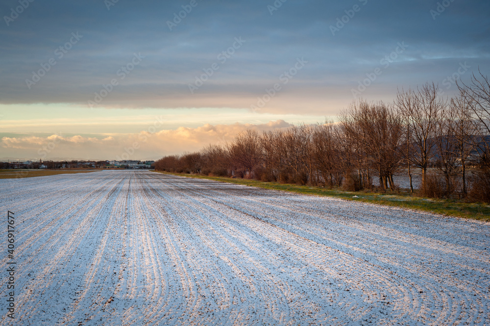 Agricultural field with fresh snow in winter Agricultural field with fresh snow in winter