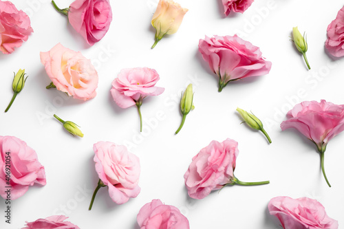 Beautiful Eustoma flowers on white background  flat lay