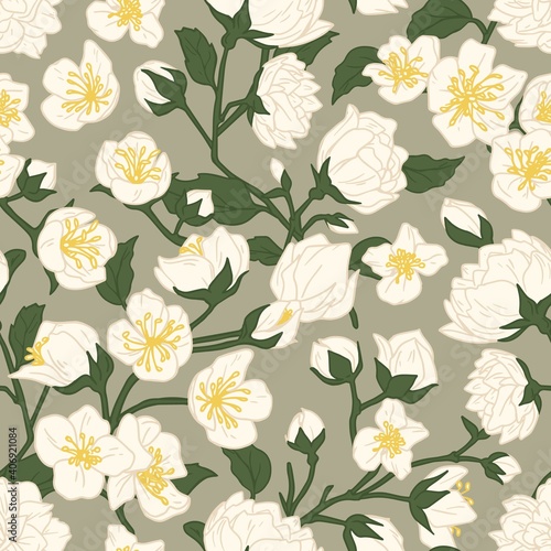 Seamless pattern of blossomed white jasmine flowers. Design of floral repeatable background for printing. Endless flowery texture with mock-oranges. Hand-drawn colored flat vector illustration