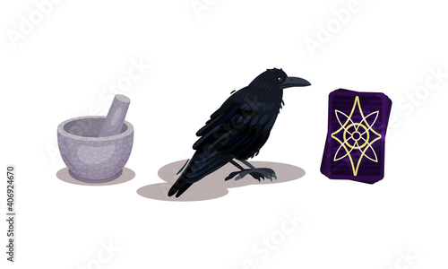 Fortune Telling Objects with Black Cat and Candle Vector Set