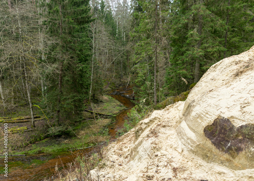 sandstone cliff wall and entrance to the cave, the cave is located on the bank of a small river, beautiful conifers by the river photo