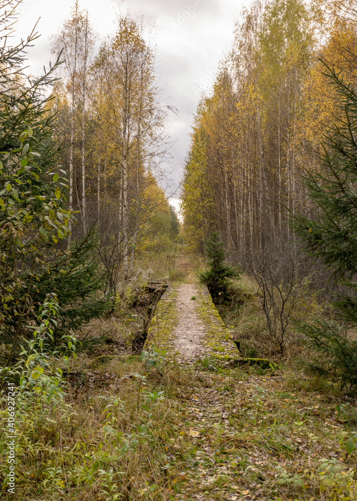 Fototapeta premium old railway without rails, reinforced concrete bridge over the bog ditch, peat bog development, autumn