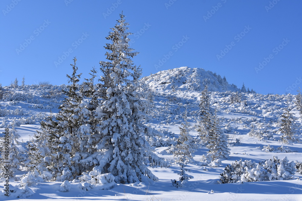 Fototapeta premium Polish mountains Tatry winter snow in the mountain