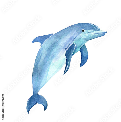 Watercolor cute jumping cartoon dolphin isolated on white background