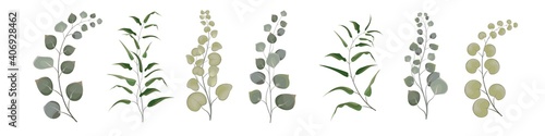 Vector set from a set of herbs. Green herbs, branches with moldings, plants. Greens on white background