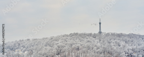 Winter panorama of Prague with Petrin Tower                               