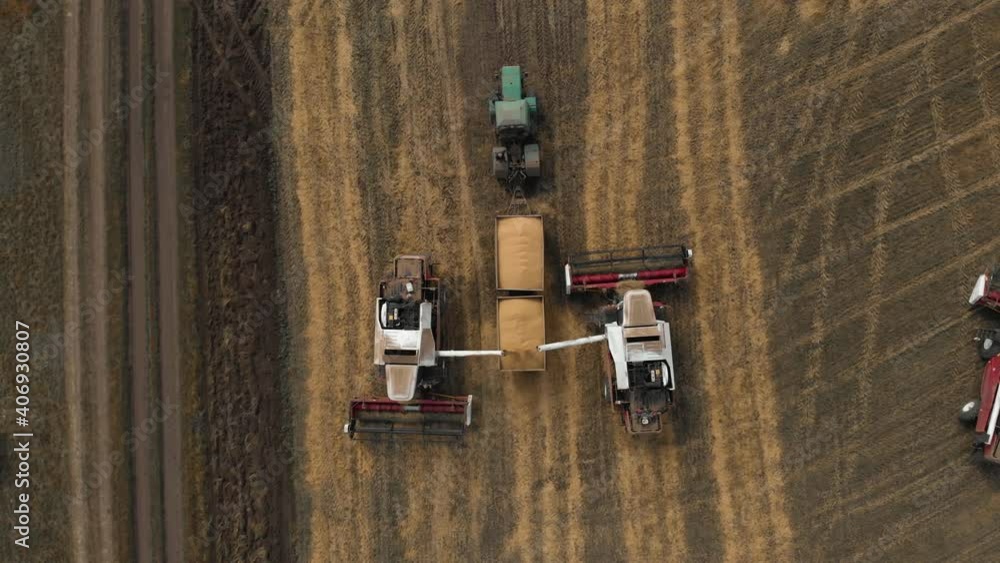 The view from the top. Aerial survey. Harvest time.There are three combines and a tractor with two trailers on the field. Two combine harvesters pour the collected grain into one of the trailers. A The view from the top. Aerial survey. Harvest time.There are three combines and a tractor with two trailers on the field. Two combine harvesters pour the collected grain into one of the trailers. A