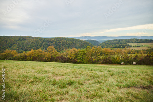 Countryside of central Bohemia, near Karlštejn Castle © jindrich