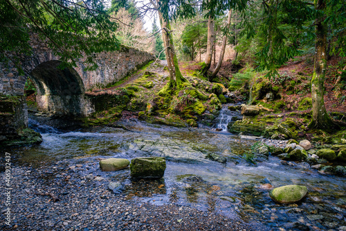 Tollymore forest: GOT location, direwolfs