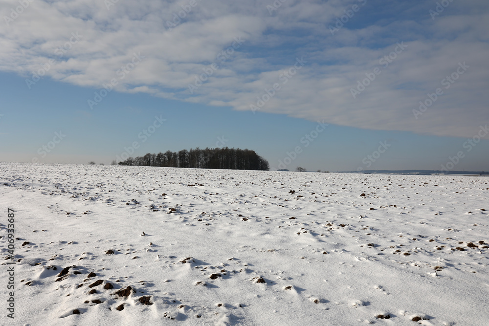 Snow-covered fields on a clear winter day