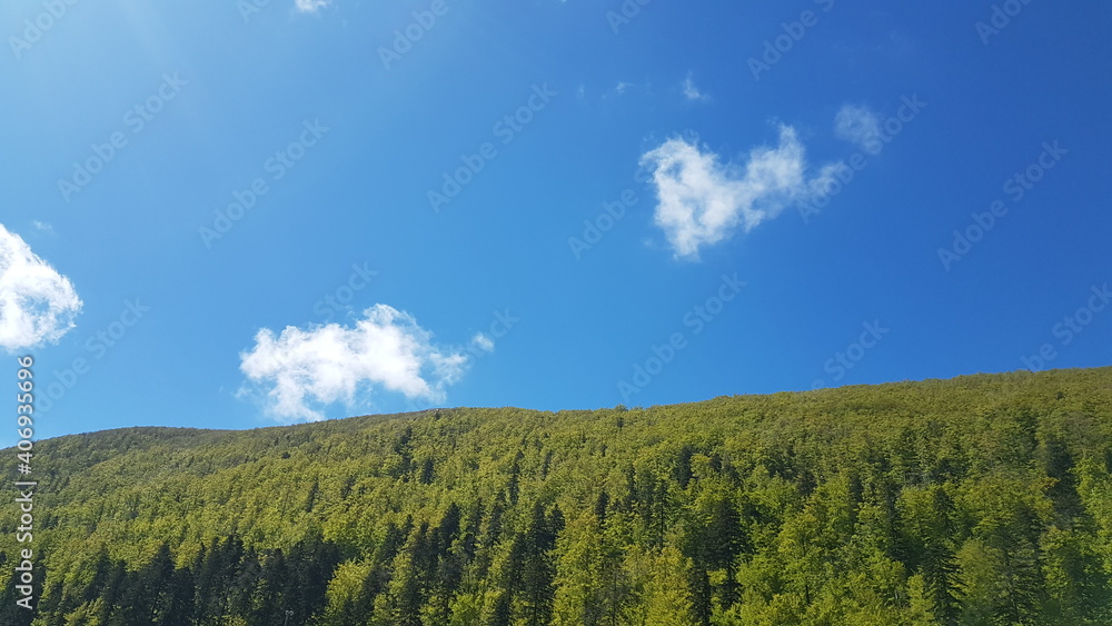 Blue sky with clouds and forest Blue sky with clouds and forest