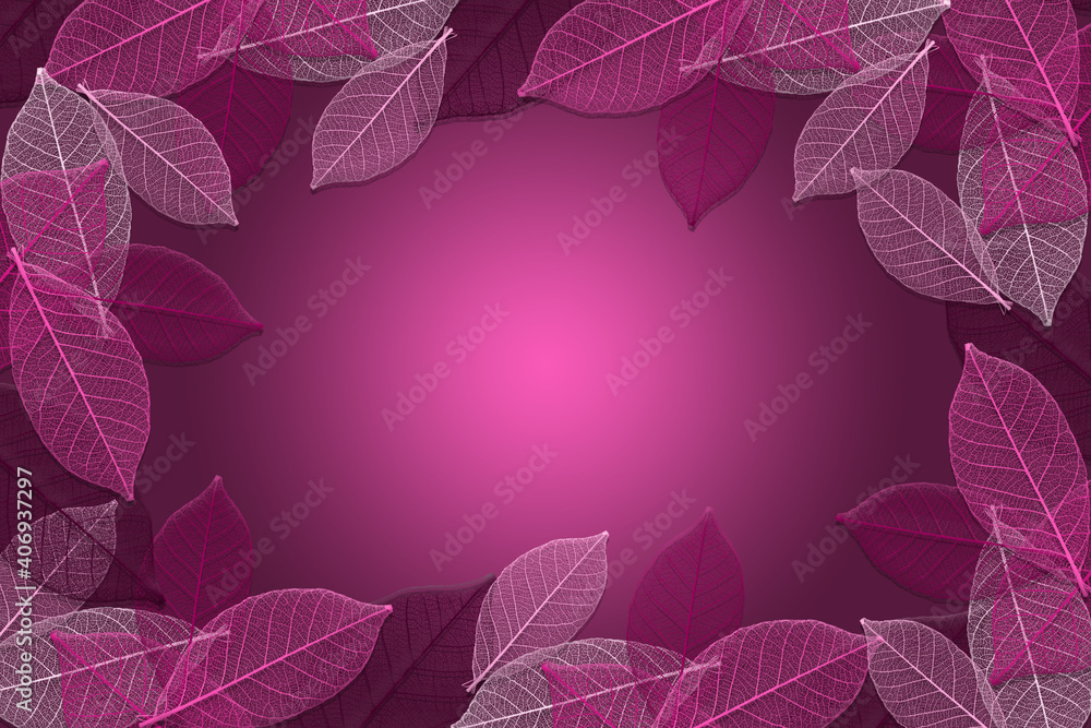 Pink leaf skeletons frame border on a graduated pink background Stock ...