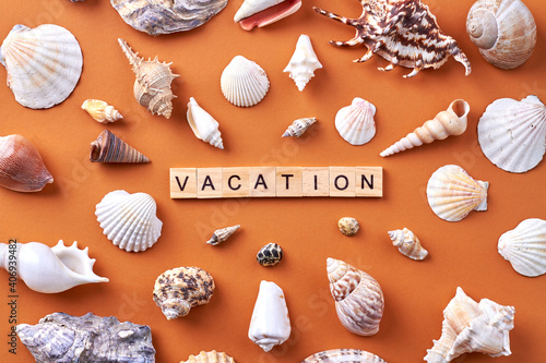 Summer vacation concept. Many various seashells on orange background.