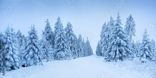 Lonely empty road through cold winter forest, everything is covered by snow © AVTG
