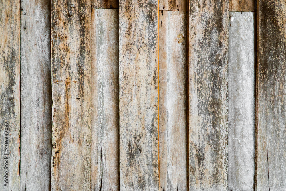 Old rough wood plank texture surface for background or wallpaper with copy space. Old wood with mold. Old rough wood plank texture surface for background or wallpaper with copy space. Old wood with mold.