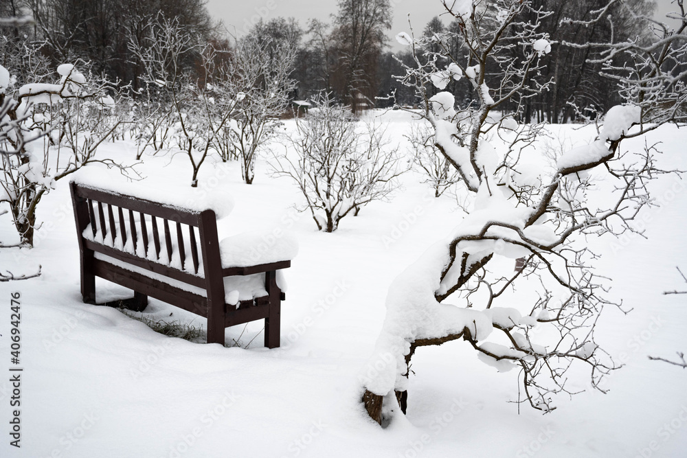 Wonderful white winter landscape with trees and bench covered by snow after big snowfall