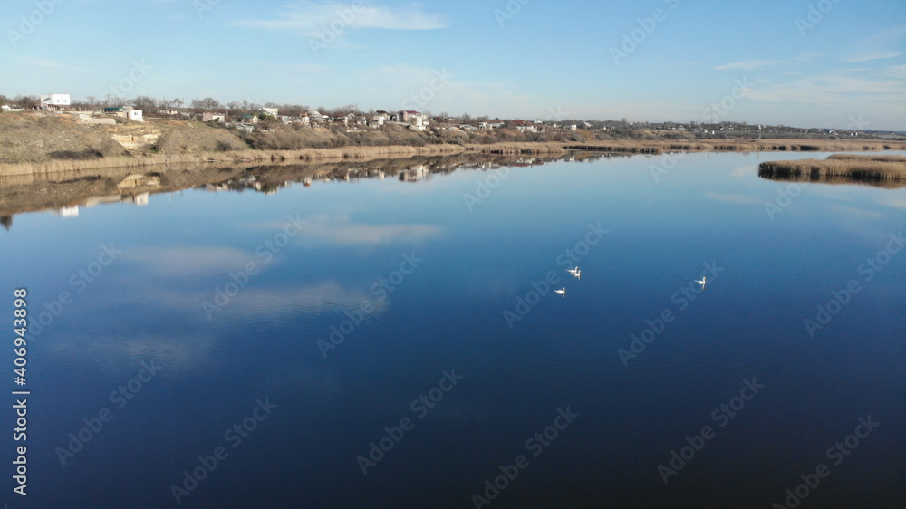 The estuary of a river with blue water. On the bank and in the middle of the river there are dry grass and reeds. There are village with houses on the shore. White swans float on the river