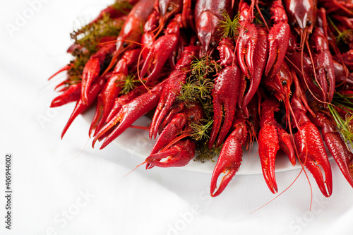 A plate full of cooked crayfish, topped with dill. Swedish tradition. Crayfish party. Studio photo isolated on white background. Selective focus on object.