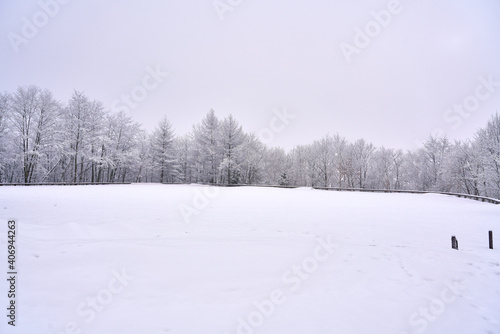Wallpaper Mural winter landscape in the mountains Torontodigital.ca
