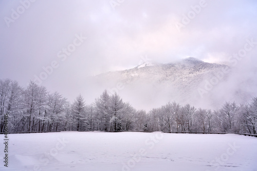 winter landscape in the mountains © Cody Yim