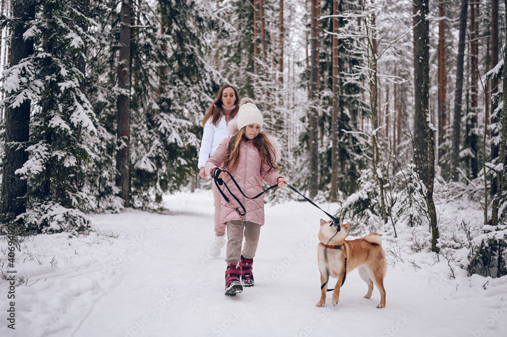 Happy family young mother and little cute girl in pink warm outwear walking having fun with red shiba inu dog in snowy white cold winter forest outdoors. Family sport vacation activities. Happy family young mother and little cute girl in pink warm outwear walking having fun with red shiba inu dog in snowy white cold winter forest outdoors. Family sport vacation activities.