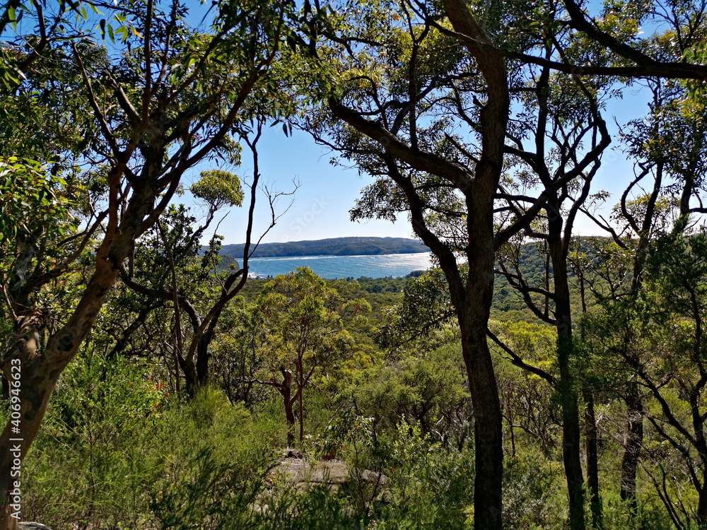 Beautiful view of a mountains and valleys with tall trees and deep blue ocean in the background, Bullimah Lookout, Bouddi National Park, National Park, New South Wales, Australia
