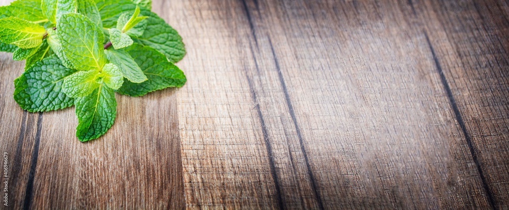 Fresh green sprigs of mint on a wooden table Fresh green sprigs of mint on a wooden table