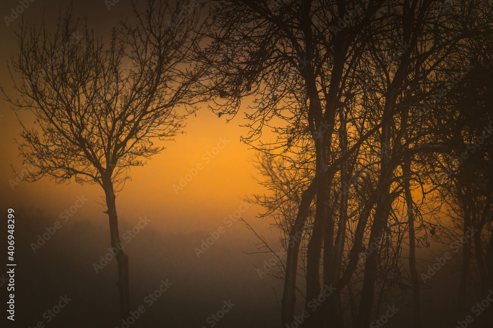 Nebelmood Landschaft im Winter kahle Bäume Nebel Dunst Nebelmood Landschaft im Winter kahle Bäume Nebel Dunst