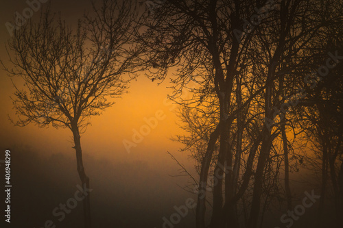 Nebelmood Landschaft im Winter kahle B  ume Nebel Dunst 