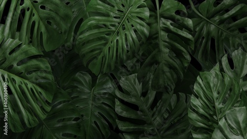 Tropical palm tree background wallpaper 3d render © Rizwan