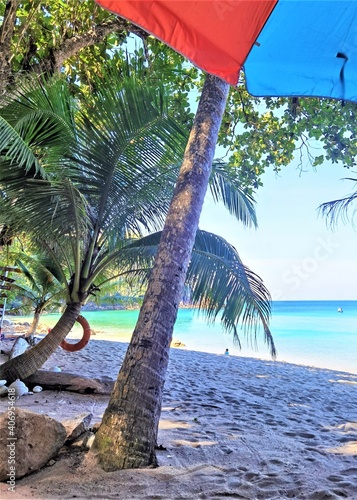 Cozy beach with a white sand and green water arround the palms.