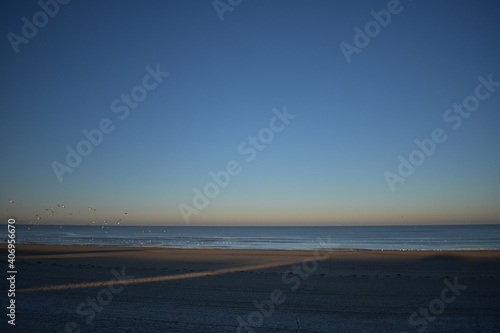 Nordseek  ste in Niederlande  Strand  Krabben und Muscheln.