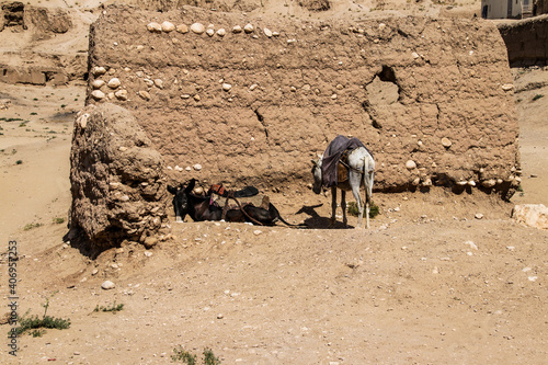 Daily refugee village life in Badghis, Afghanistan in the desert. photo