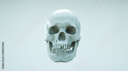 skull, human, head, face, 3d, appearance, bleak, bone, brain, clipping, cranium, dark, dead, death, decay, die, dying, evil, fallen, fear, finality, front, ghost, graveyard, grim, halloween, heal, hea