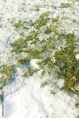 spray, spraying, crystal, freeze, fun, snow, ice, nature, frost, winter, cold, grass, thaw