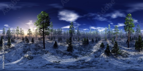Winter forest in the rays of the sun, HDRI, environment map , Round panorama, spherical panorama, equidistant projection, panorama 360