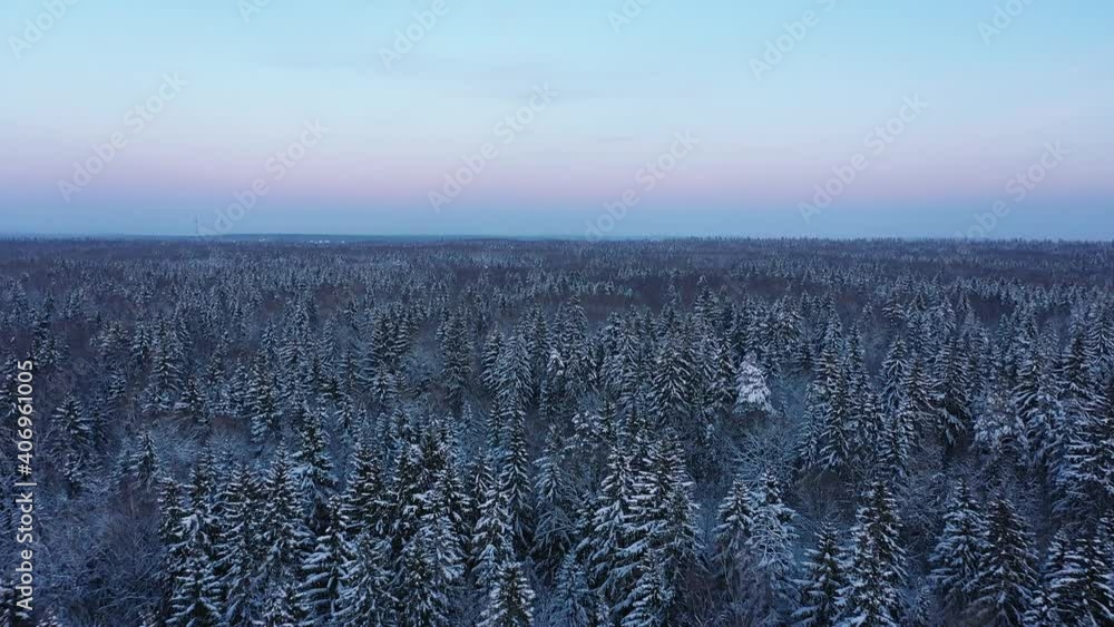Winter Forest Nature Snow Covered Winter Trees Alpine Landscape Early Morning Sunrise Holiday Travel And Tourism Frosty Tree Tops Vibrant Colors Aerial 4k Winter Forest Nature Snow Covered Winter Trees Alpine Landscape Early Morning Sunrise Holiday Travel And Tourism Frosty Tree Tops Vibrant Colors Aerial 4k