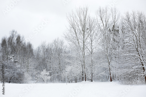 Wallpaper Mural white winter scenery in park Torontodigital.ca