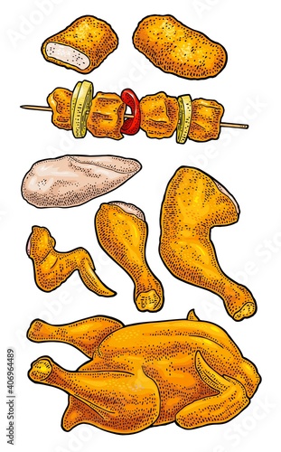 Part cutting of roasted chicken - whole, leg, wing and breast halves. Vintage color engraving