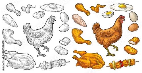 Set chicken. Whole hat, leg, wing, egg and farm. Vintage engraving