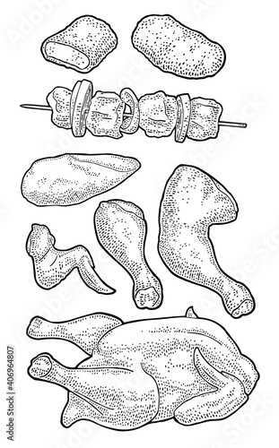 Part cutting of roasted chicken - whole, leg, wing and breast halves. Vintage color engraving