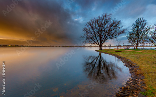 Reflection of tree on the lake