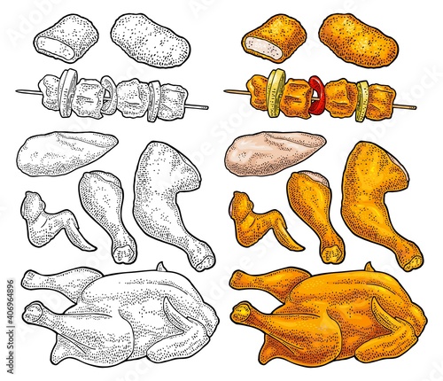 Part cutting of roasted chicken - whole, leg, wing and breast halves. Vintage color engraving