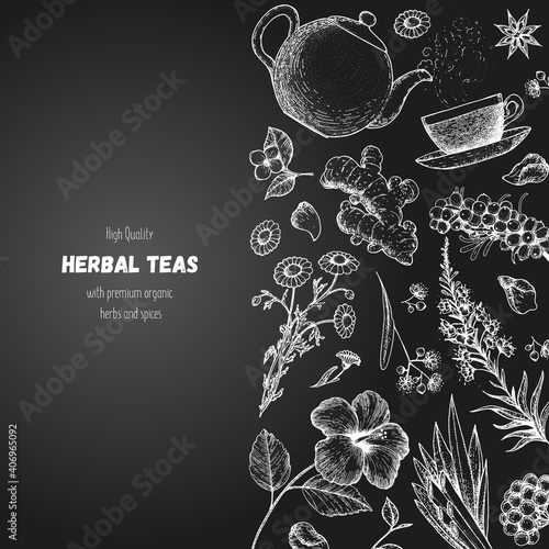 Tea shop vector illustration. Vector design with herbal tea ingredients. Hand drawn sketch collection. Engraved style.