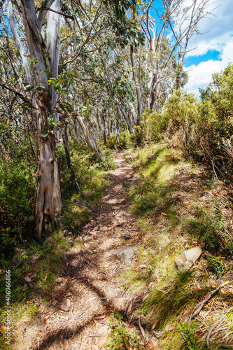 Mount Buller Walking and Biking Trails in Summer photo