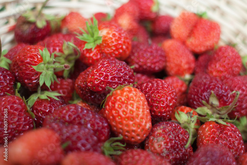 berries strawberry