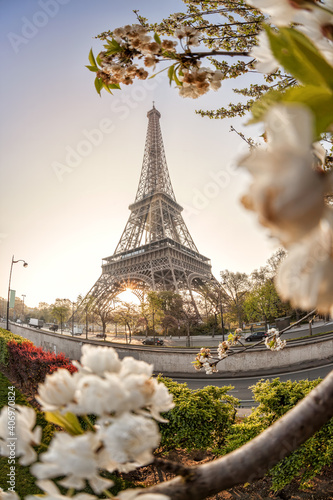 Eiffel Tower with spring trees against sunrise in Paris, France © Tomas Marek
